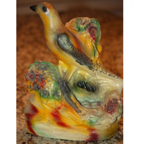Bird Watching Led to Grandmother’s Gift